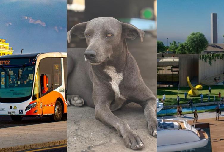 Los proyectos claves de Cartagena que serán financiados con recursos de regalías