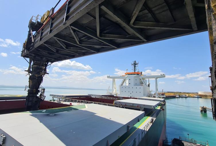 Exportaciones de carbón a Israel están suspendidas desde el 2024.