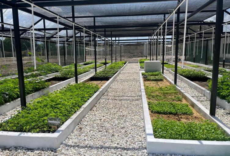 Colegio en Ciénaga recibe megavivero y centro bioclimático que florece en las manos de los estudiantes