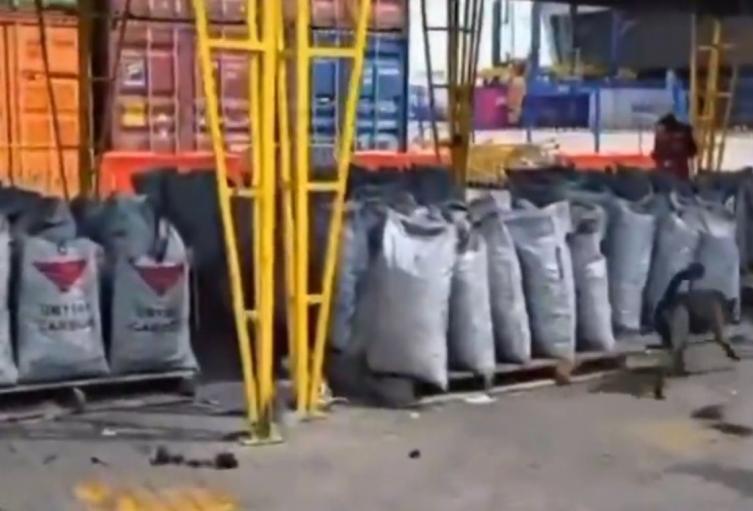Operativo en el puerto de la ciudad 