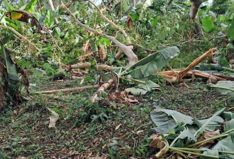 Un vendaval acompañado de intensas lluvias dejó  afectaciones en la vereda San Pedro Medio, del corregimiento de San Sebastián