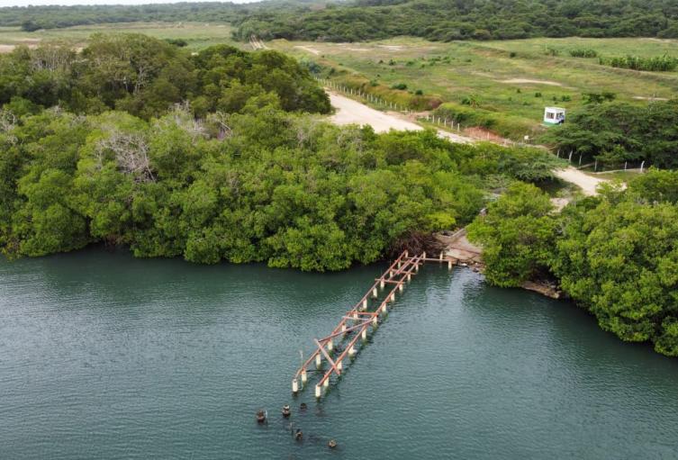Alcaldía y Dimar desmontan muelle ilegal en la Ciénaga de los Vásquez, en Barú