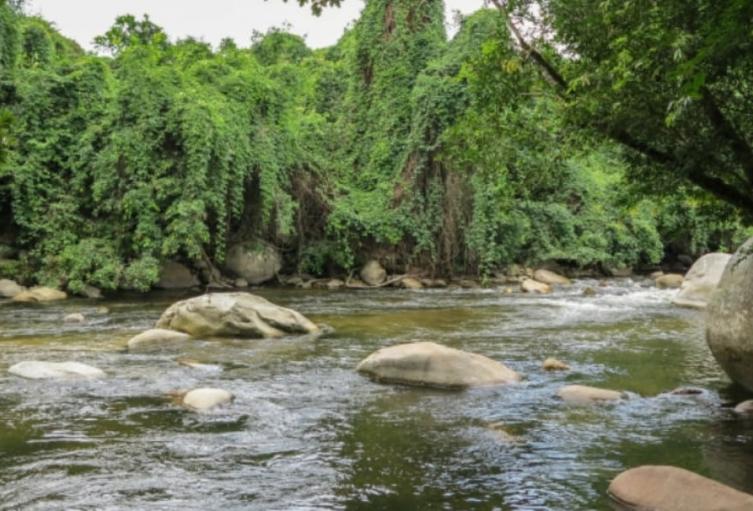 alerta naranja por fuertes lluvias y riesgo de crecientes súbitas en el Magdalena