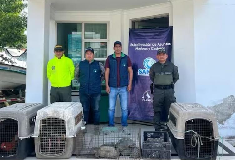 Animales decomisados