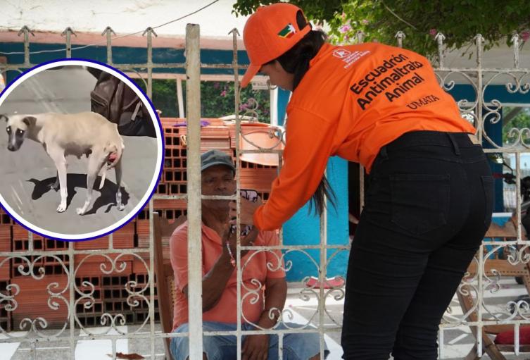 Caso de zoofilia Cartagena