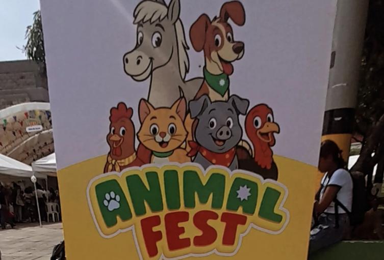 Animal Fest 2025 Cartagena