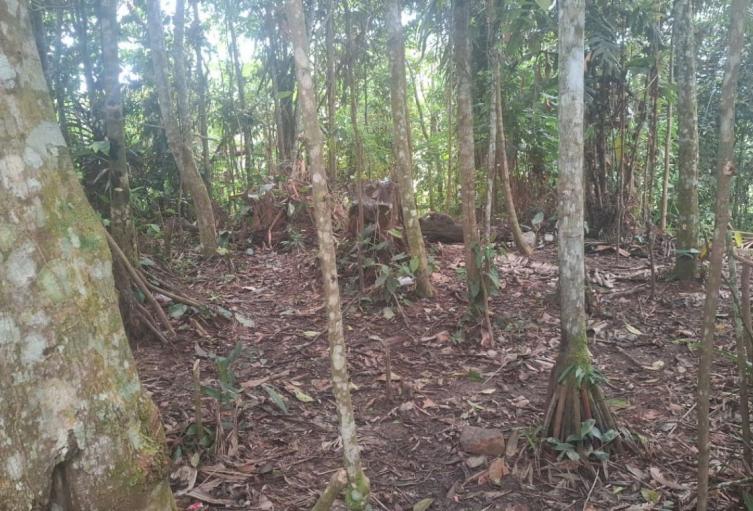 El lugar ya había sido abandonado