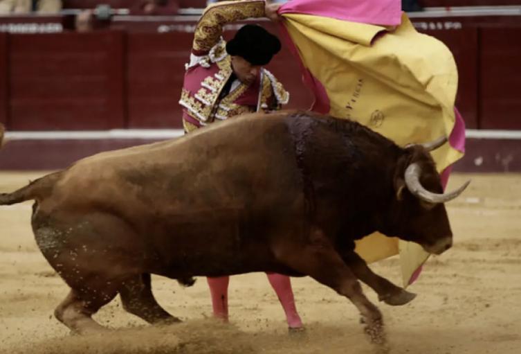Imagen referencia