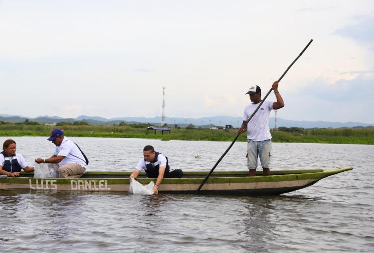 Repoblamiento con peces en Bolívar