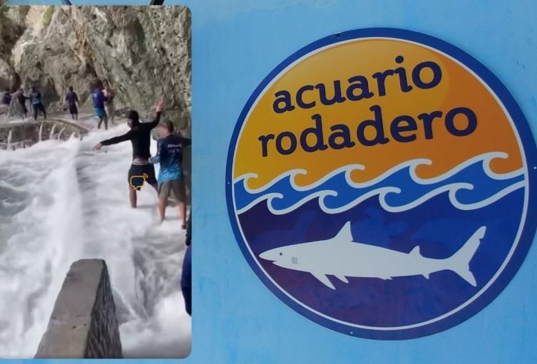 Fuerte oleaje sorprende a empleados y turistas en el Acuario de Santa Marta Fuerte oleaje sorprende a empleados y turistas en el Acuario de Santa Marta
