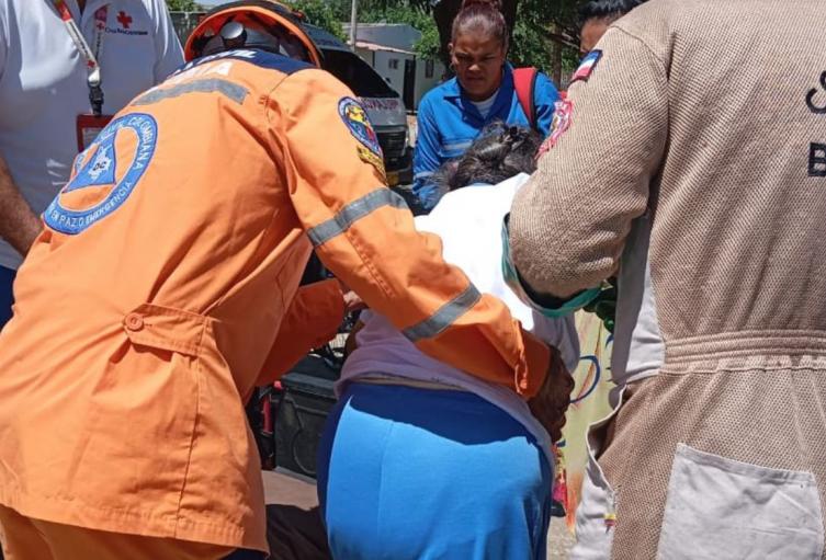 Emergencia en Valledupar: abejas atacan a 25 adultos mayores Emergencia en Valledupar: abejas atacan a 25 adultos mayores