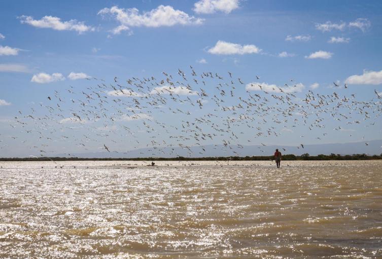 La Guajira