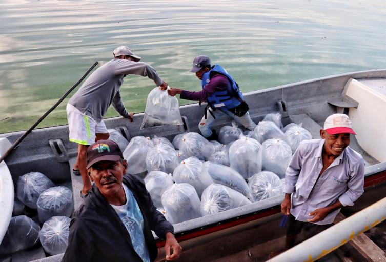 El programa ha beneficiado a por lo menos 3.000 pescadores y sus familias en ocho municipios