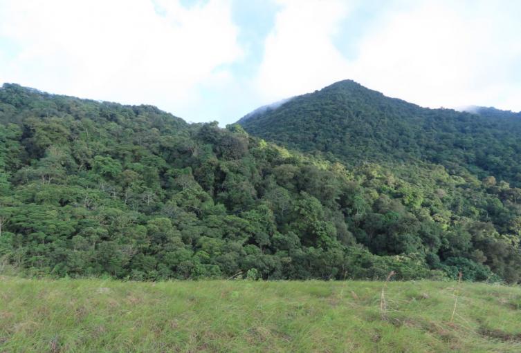 Conservación en la Serranía del Perijá.
