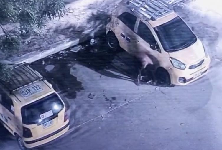 Animalistas piden justicia y capturar al responsable