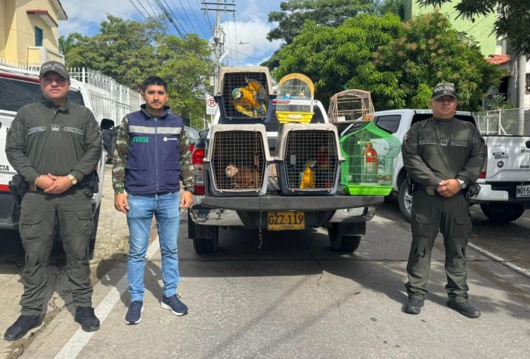 Guacamayas y monos fueron rescatados en Barranquilla durante operativo