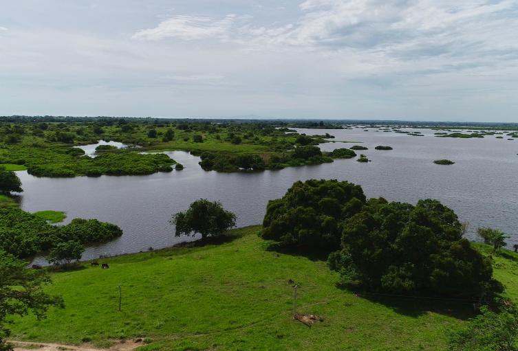 El humedal está ubicado en Buenavista