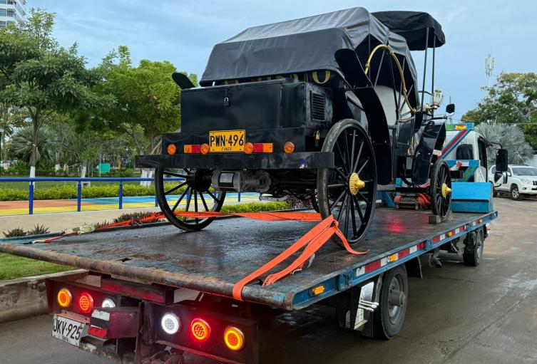 Coches eléctricos inmovilizados en Cartagena.