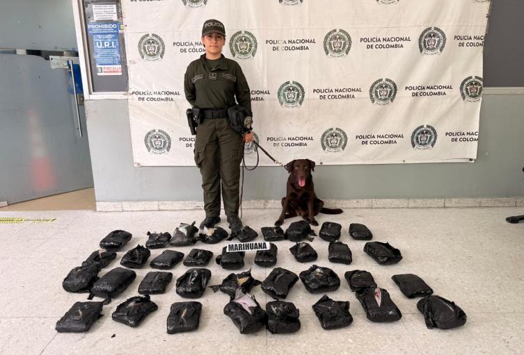 Incautación de marihuana