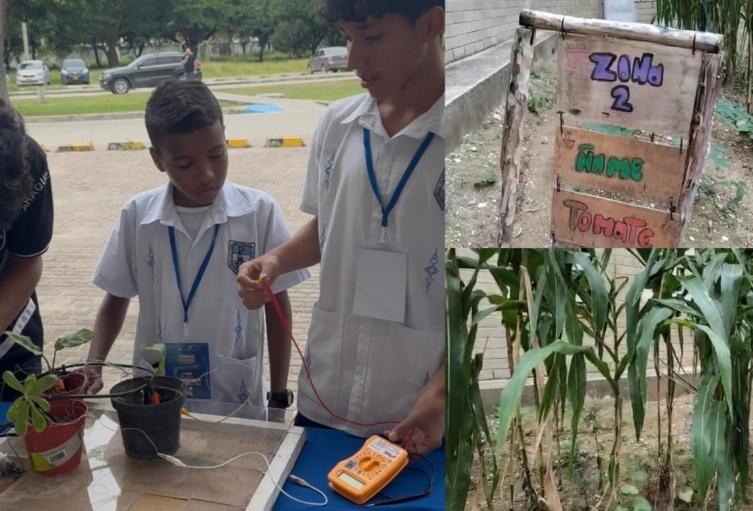 Estudiantes de un colegio en Santa Marta impulsan investigación que transforma huertos escolares en fuentes de energía limpia