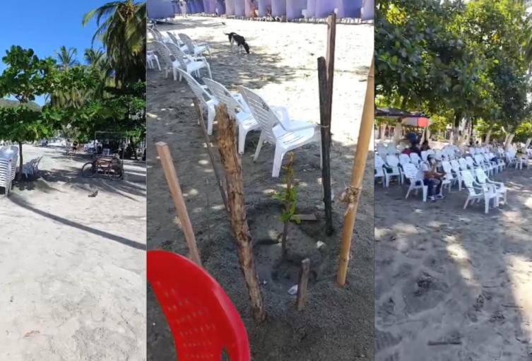 Polémica en El Rodadero entre prestadores turísticos y la Alcaldía por siembra de árboles en la playa