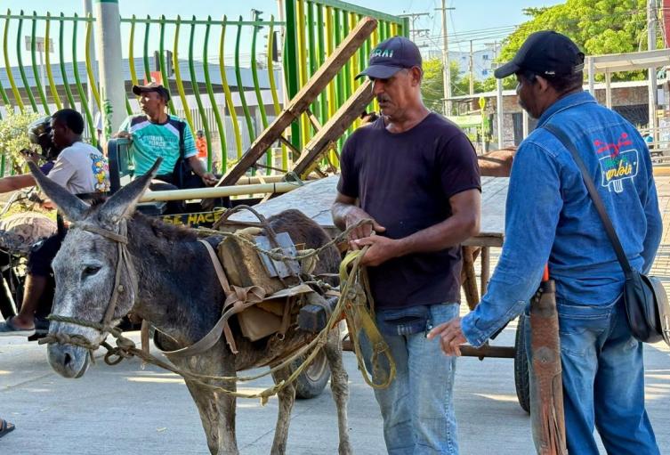 Entregados en la Plaza de Todos 