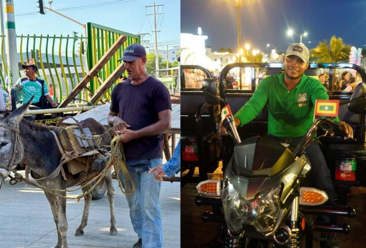 Sustitución que reduce el maltrato animal en la ciudad