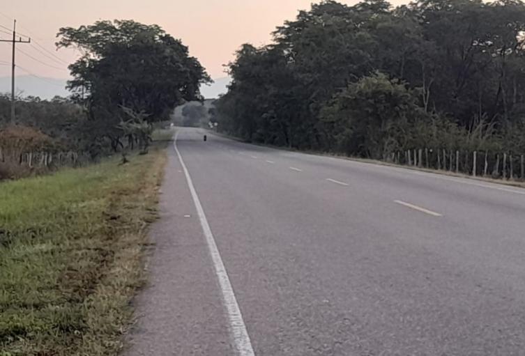 Autoridades activan protocolo de seguridad por cilindro con banderas del ELN en zona rural de La Jagua de Ibirico.