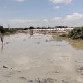 Panorama de inundaciones en La Mojana | Sincelejo | Julio 2024