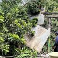 Vendaval en Malambo 