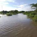 Comunidad Cucurumana en Riohacha es una de las más afectadas por invierno. 