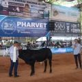  Participan ganaderías de diferentes  regiones del país.