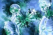 Sucre tiene ya 24 casos de coronavirus,ayer se presentaron cinco mas,tres en San Marcos y dos en Sincelejo