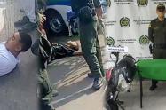 Ladrones en quilla
