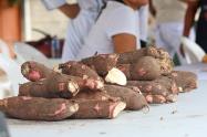 Yuca 