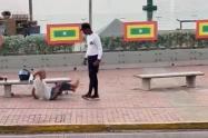 El hecho ocurrió en la mañana de este martes 29 de julio