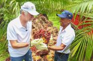 Agro Atlántico 