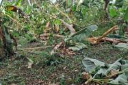 Un vendaval acompañado de intensas lluvias dejó  afectaciones en la vereda San Pedro Medio, del corregimiento de San Sebastián