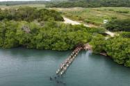 Alcaldía y Dimar desmontan muelle ilegal en la Ciénaga de los Vásquez, en Barú