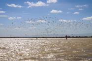 La Guajira