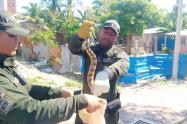 Encuentran boa de un metro de largo en el techo de una vivienda en la zona insular de Cartagena Nov 21