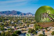 Aumentan más del 50% los casos de dengue en Santa Marta y Magdalena