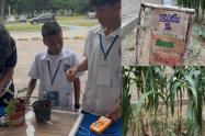 Estudiantes de un colegio en Santa Marta impulsan investigación que transforma huertos escolares en fuentes de energía limpia