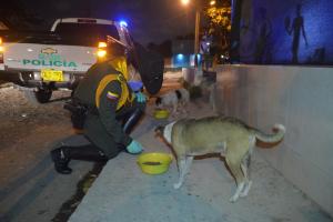 Todas las noches se le reparten los alimentos 