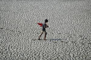 India / ola de calor