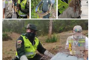 El Grupo de Protección Ambiental de la Policía Metropolitana y el Establecimiento Público Ambiental (EPA) Cartagena