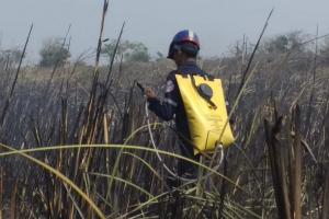 Bomberos en operativo de extinción