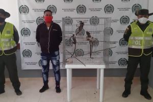 Delito de ilícito aprovechamiento de los recursos naturales renovables