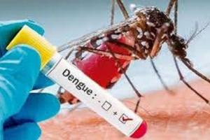 Tres menores han muerto en Cartagena por dengue 