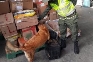 La Policía Nacional coloca a disposición la línea 167 Antidrogas ‘Todos contra el narcotráfico’, 